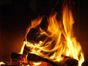 firewood-3